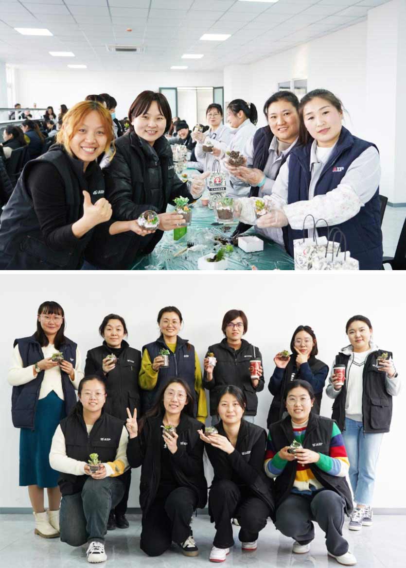 3.8 婦女節丨微景觀DIY，一起邂逅微世界里的春日—AIP艾普